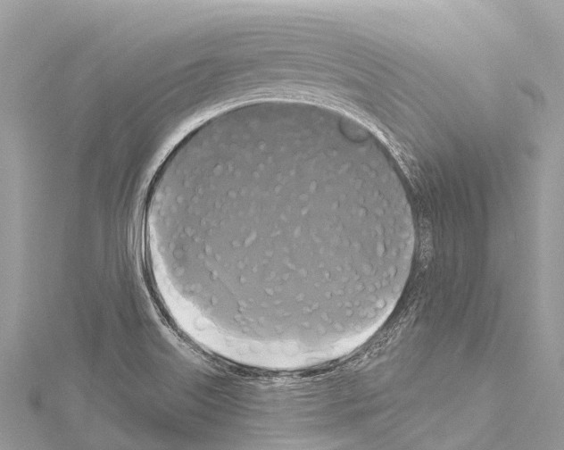 X0000114181515200911191256