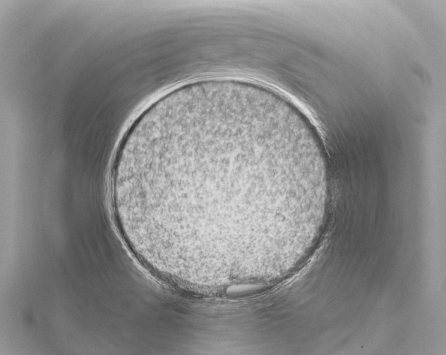 X0000114181517200911191256