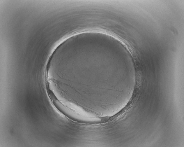 X0000114181519200911191256