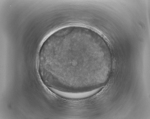 X0000114181520200911191256