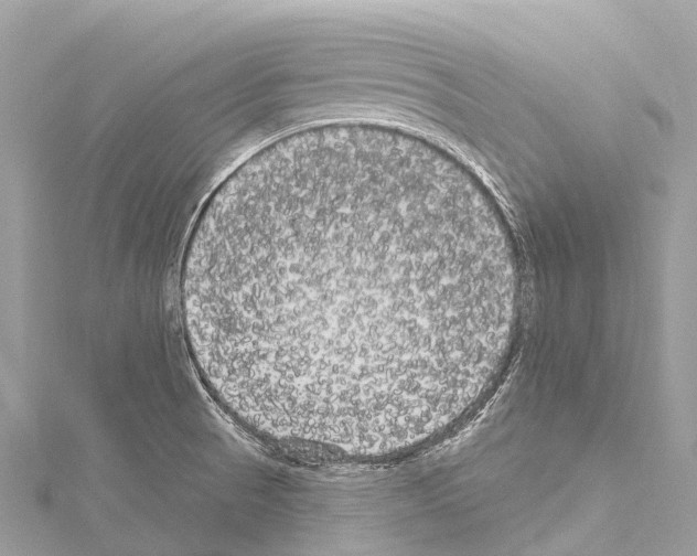 X0000114181521200911191256