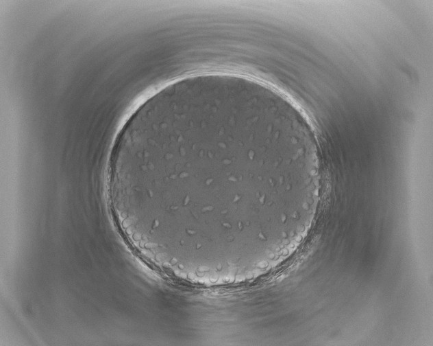 X0000114181525200911191257