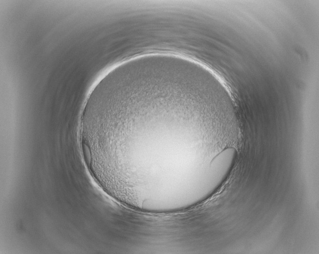 X0000114181527200911191257