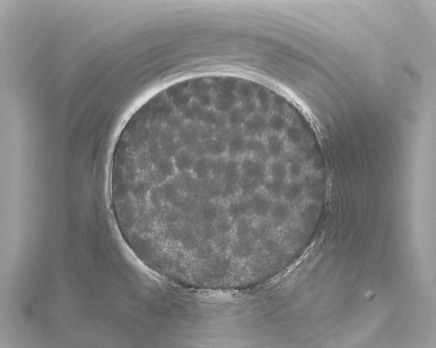 X0000114181528200911191257