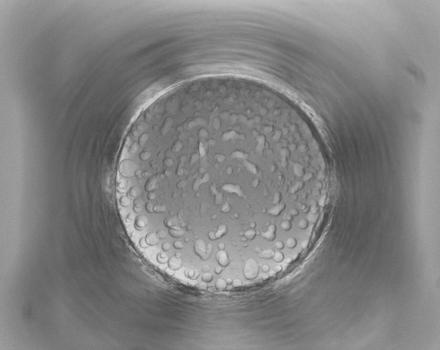 X0000114181529200911191257