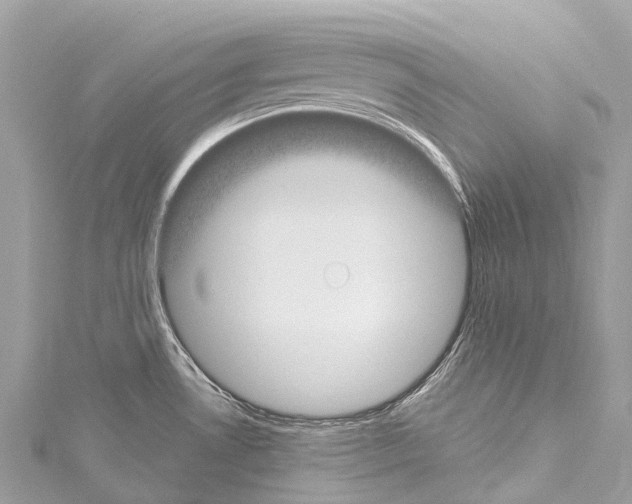 X0000114181530200911191257