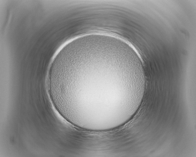 X0000114181531200911191257