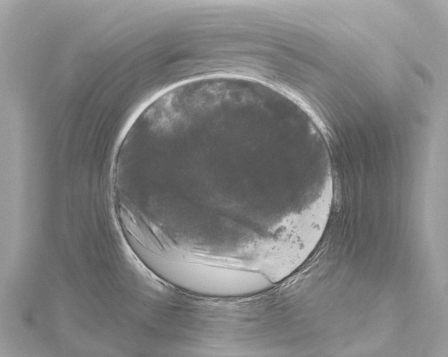 X0000114181532200911191257