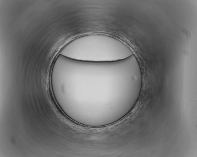 X0000114190002200910091038