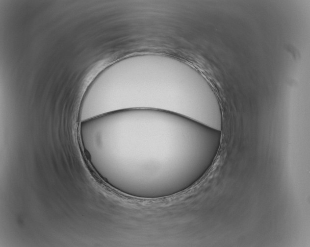 X0000114190003200910091038
