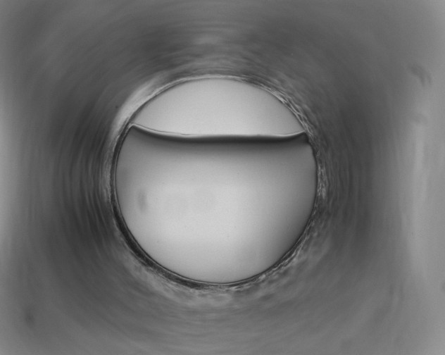 X0000114190004200910091038