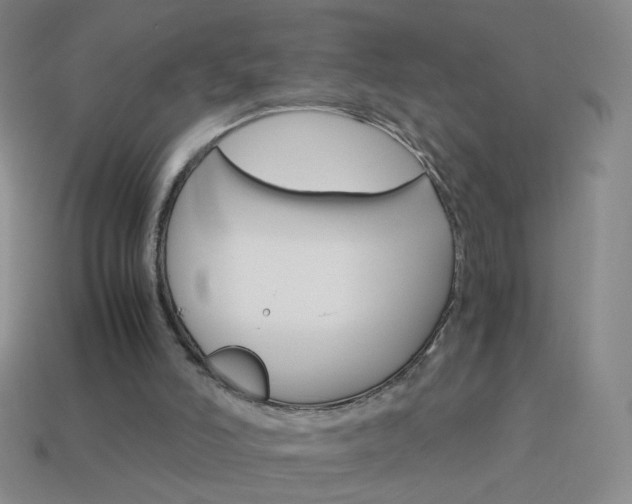 X0000114190006200910091037