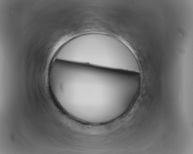 X0000114190008200910091037