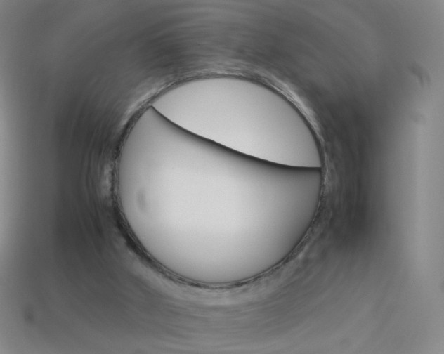 X0000114190010200910091037