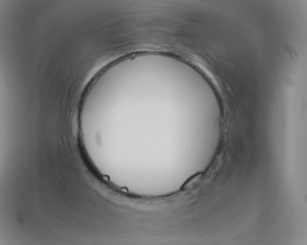 X0000114190011200910091037