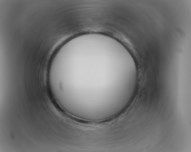 X0000114190012200910091037