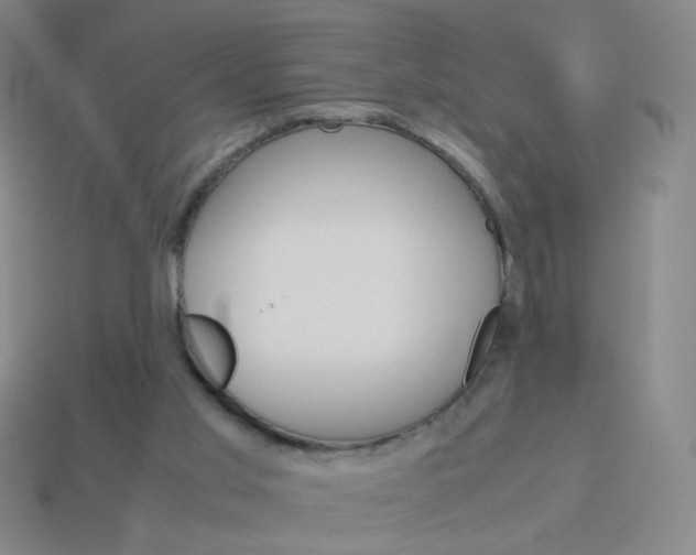 X0000114190013200910091037