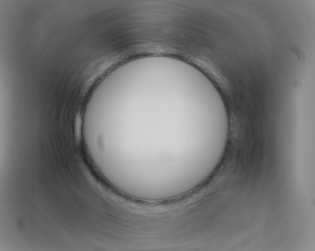 X0000114190014200910091037