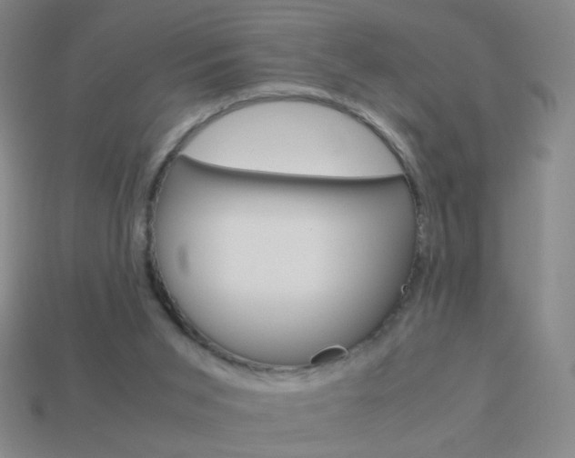 X0000114190015200910091037