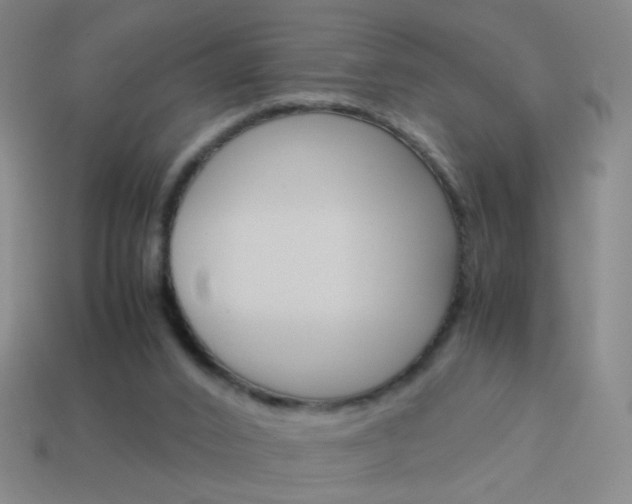X0000114190016200910091037