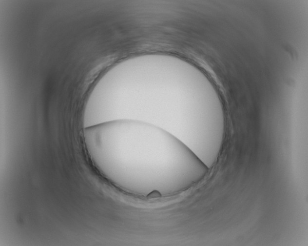 X0000114190019200910091037