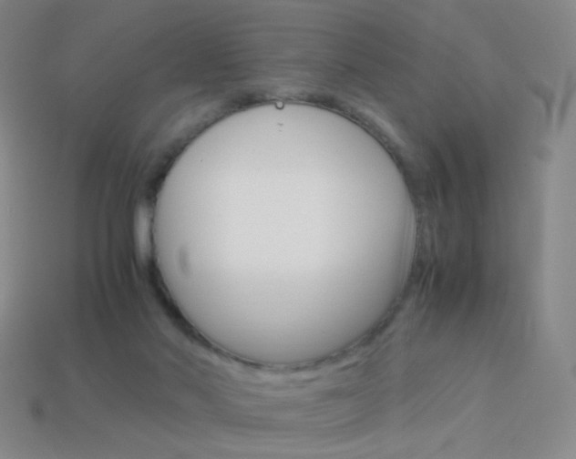 X0000114190022200910091037