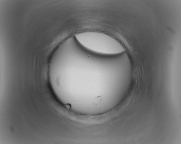 X0000114190023200910091037
