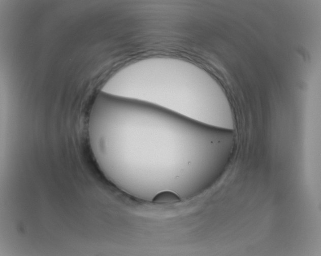 X0000114190029200910091037
