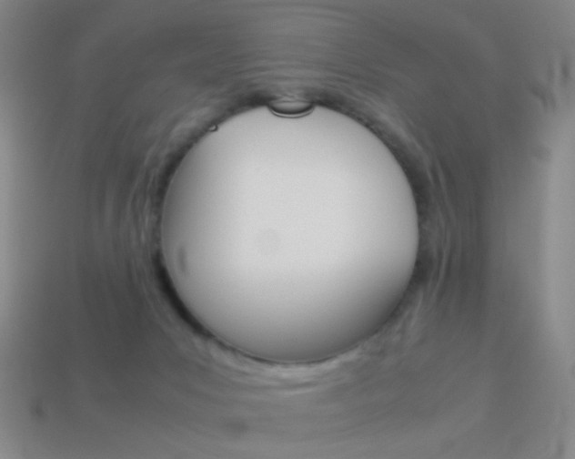 X0000114190031200910091037