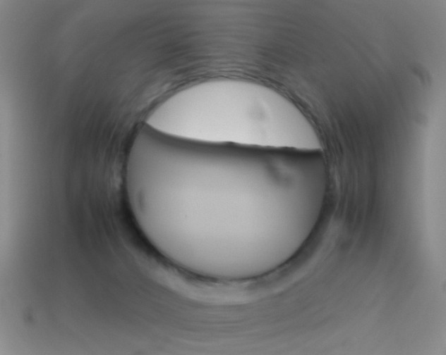 X0000114190032200910091037