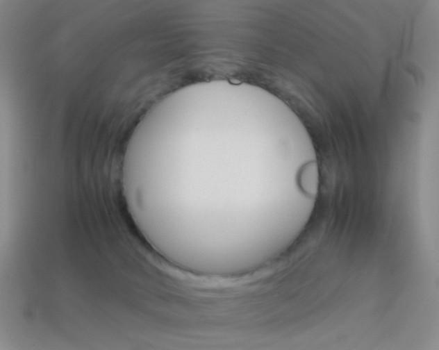 X0000114190034200910091037