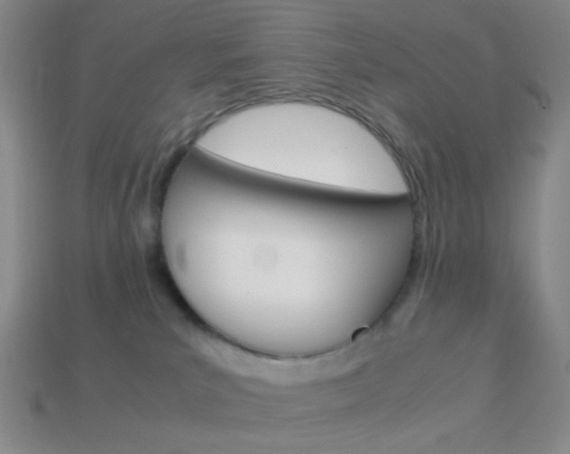 X0000114190039200910091037