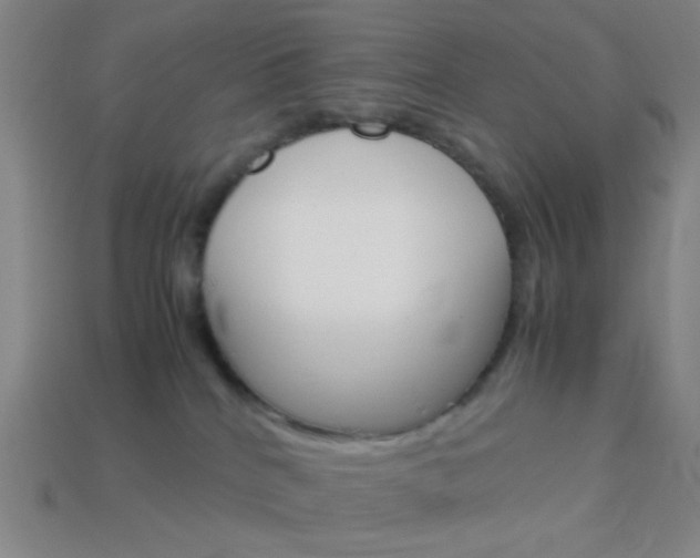 X0000114190040200910091037