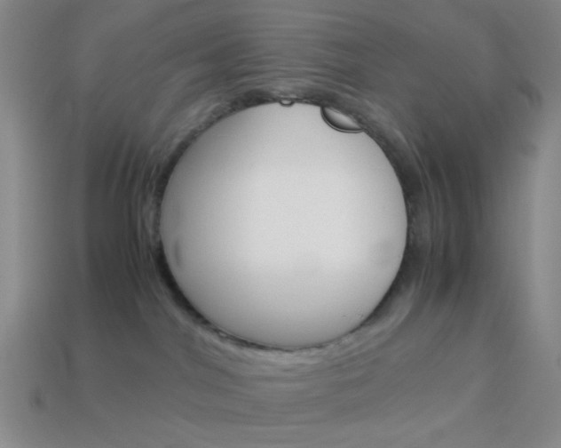 X0000114190044200910091037