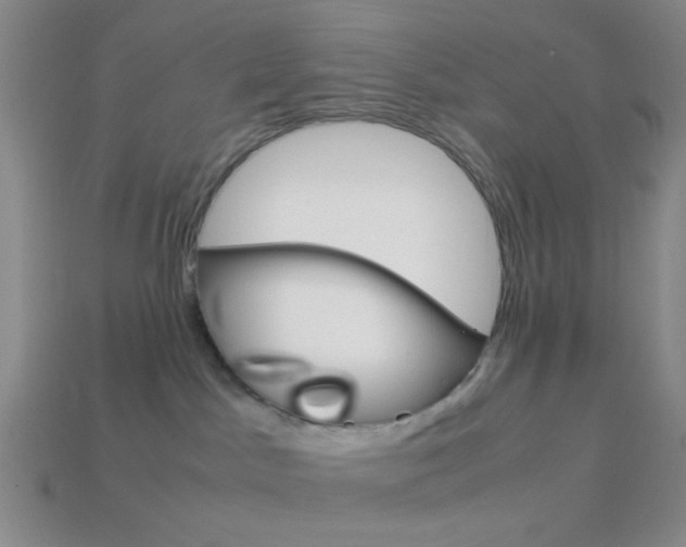 X0000114190045200910091037