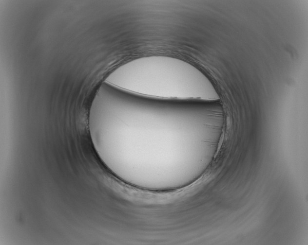 X0000114190048200910091037