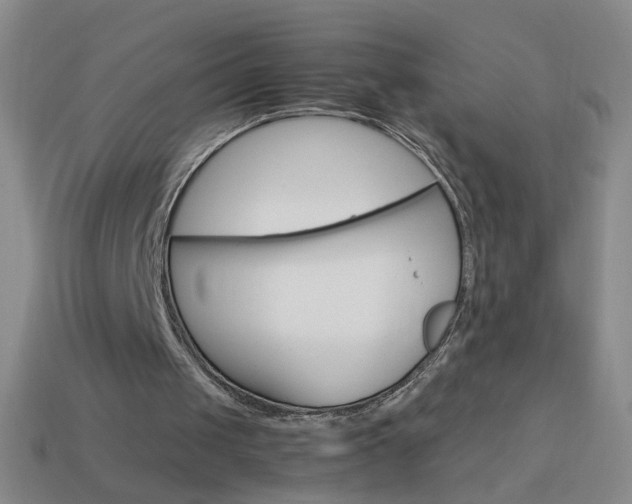 X0000114190049200910091036