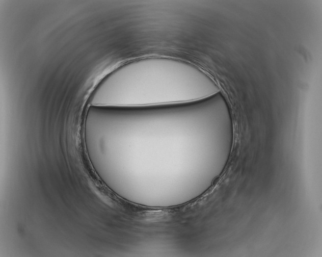 X0000114190050200910091036