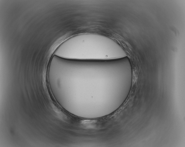 X0000114190051200910091036