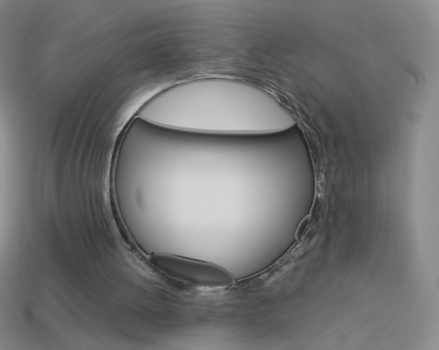X0000114190052200910091036