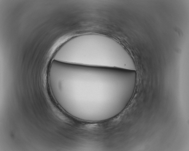 X0000114190054200910091036