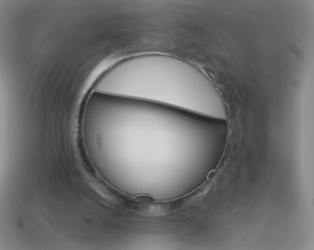 X0000114190056200910091036