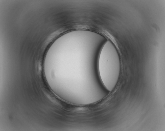 X0000114190059200910091036