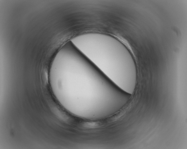 X0000114190061200910091036