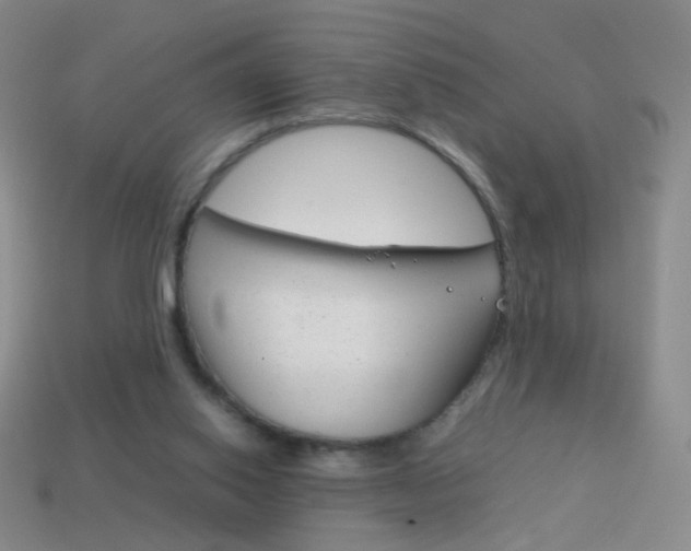 X0000114190062200910091037