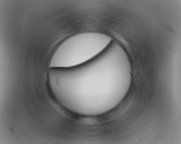 X0000114190067200910091037