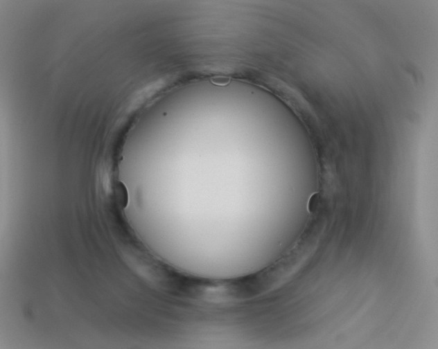 X0000114190068200910091037