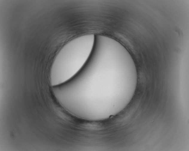 X0000114190069200910091037