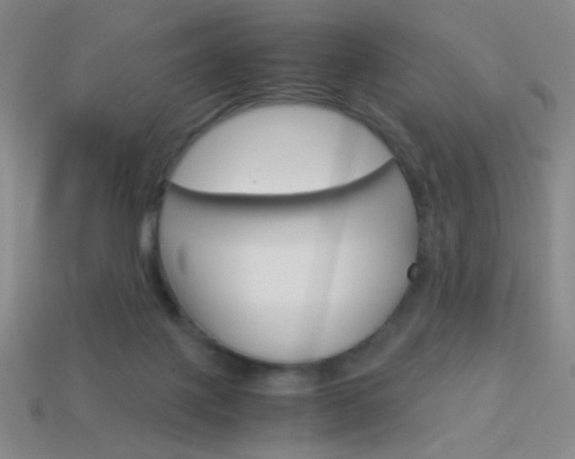 X0000114190075200910091037