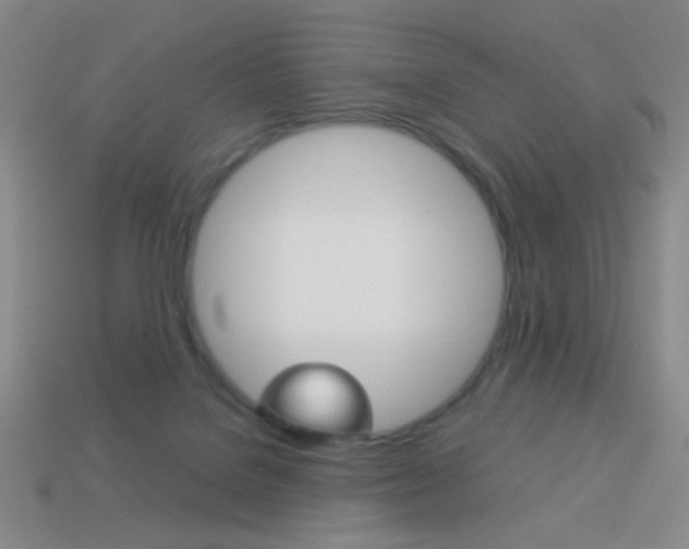 X0000114190076200910091037